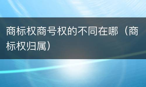 商标权商号权的不同在哪（商标权归属）