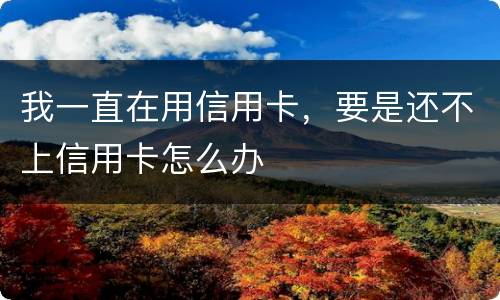 我一直在用信用卡,要是还不上信用卡怎么办