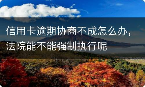 信用卡逾期协商不成怎么办，法院能不能强制执行呢