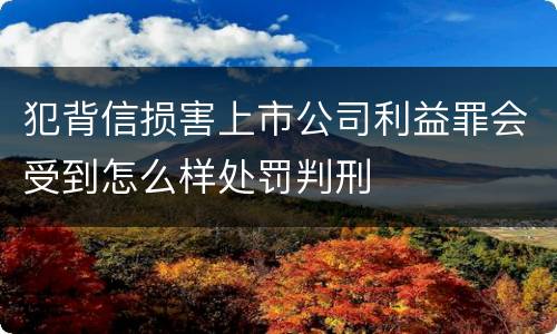 犯背信损害上市公司利益罪会受到怎么样处罚判刑