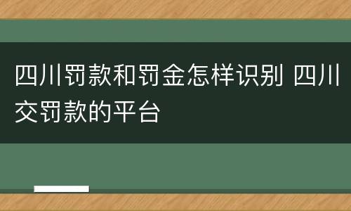 四川罚款和罚金怎样识别 四川交罚款的平台