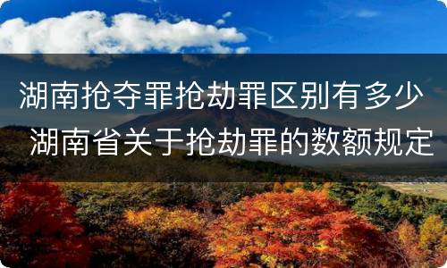 湖南抢夺罪抢劫罪区别有多少 湖南省关于抢劫罪的数额规定
