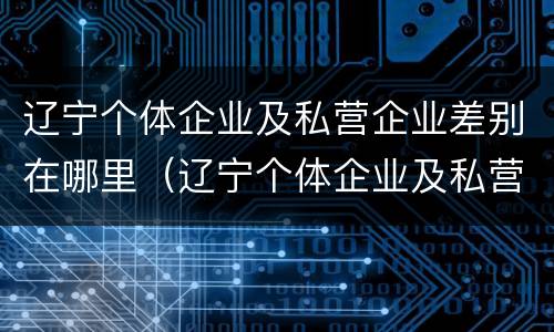 辽宁个体企业及私营企业差别在哪里（辽宁个体企业及私营企业差别在哪里查）