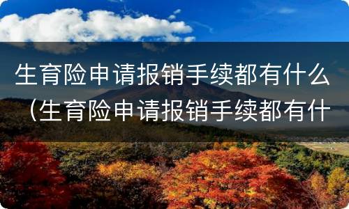 生育险申请报销手续都有什么（生育险申请报销手续都有什么内容）