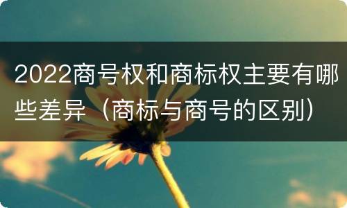 2022商号权和商标权主要有哪些差异（商标与商号的区别）