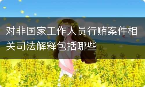 对非国家工作人员行贿案件相关司法解释包括哪些