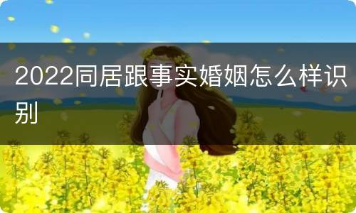 2022同居跟事实婚姻怎么样识别