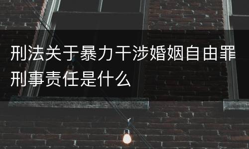 刑法关于暴力干涉婚姻自由罪刑事责任是什么