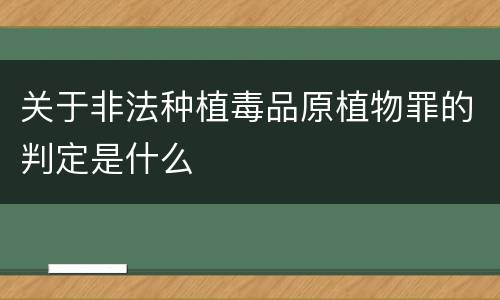 关于非法种植毒品原植物罪的判定是什么