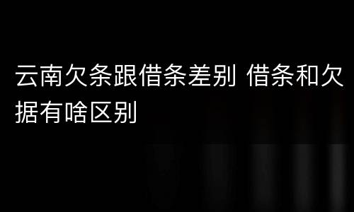 云南欠条跟借条差别 借条和欠据有啥区别