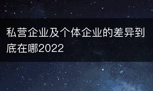 私营企业及个体企业的差异到底在哪2022