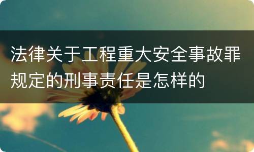法律关于工程重大安全事故罪规定的刑事责任是怎样的