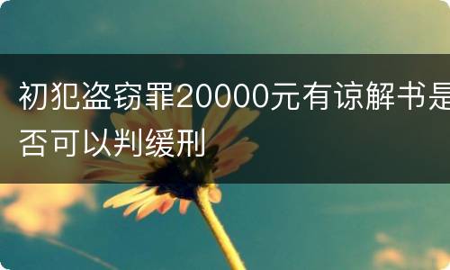 初犯盗窃罪20000元有谅解书是否可以判缓刑