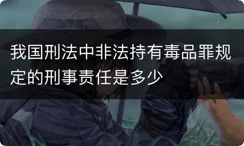 我国刑法中非法持有毒品罪规定的刑事责任是多少