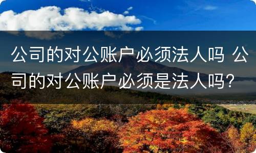 公司的对公账户必须法人吗 公司的对公账户必须是法人吗?