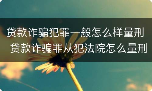 贷款诈骗犯罪一般怎么样量刑 贷款诈骗罪从犯法院怎么量刑