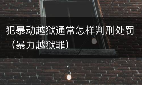 犯暴动越狱通常怎样判刑处罚（暴力越狱罪）