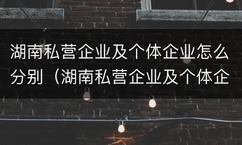 湖南私营企业及个体企业怎么分别（湖南私营企业及个体企业怎么分别认定）