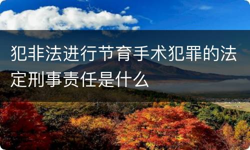 犯非法进行节育手术犯罪的法定刑事责任是什么