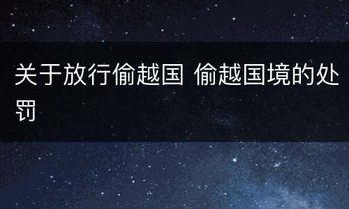 关于放行偷越国 偷越国境的处罚