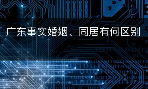 广东事实婚姻、同居有何区别