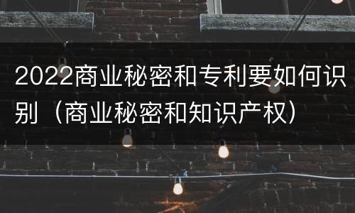 2022商业秘密和专利要如何识别（商业秘密和知识产权）