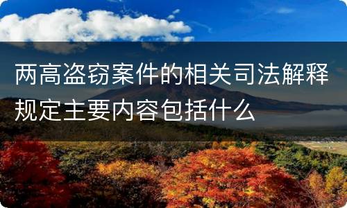 两高盗窃案件的相关司法解释规定主要内容包括什么
