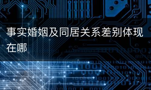 事实婚姻及同居关系差别体现在哪