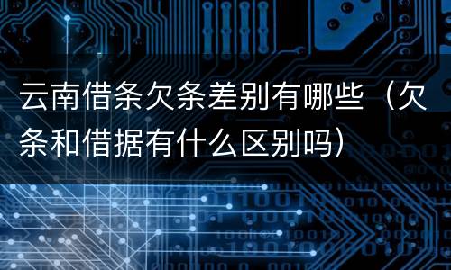云南借条欠条差别有哪些（欠条和借据有什么区别吗）