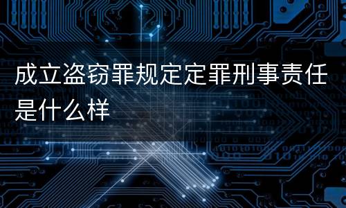 成立盗窃罪规定定罪刑事责任是什么样
