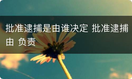 批准逮捕是由谁决定 批准逮捕由 负责