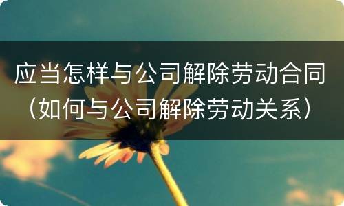 应当怎样与公司解除劳动合同（如何与公司解除劳动关系）