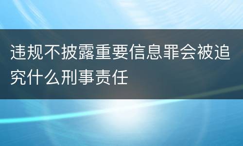 违规不披露重要信息罪会被追究什么刑事责任