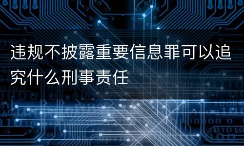 违规不披露重要信息罪可以追究什么刑事责任