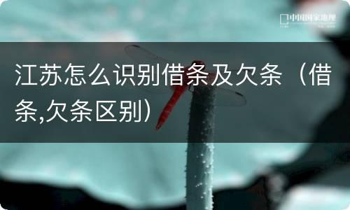 江苏怎么识别借条及欠条（借条,欠条区别）