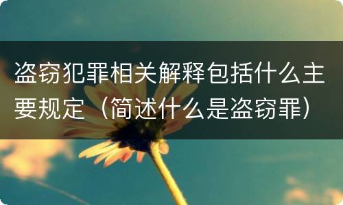 盗窃犯罪相关解释包括什么主要规定（简述什么是盗窃罪）