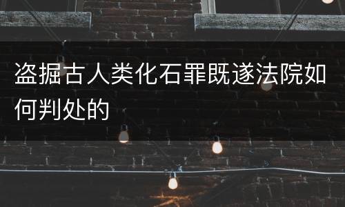 盗掘古人类化石罪既遂法院如何判处的
