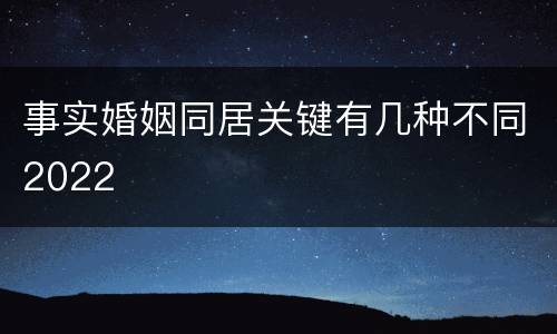 事实婚姻同居关键有几种不同2022