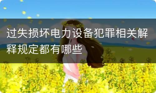过失损坏电力设备犯罪相关解释规定都有哪些