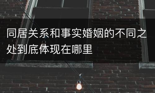 同居关系和事实婚姻的不同之处到底体现在哪里