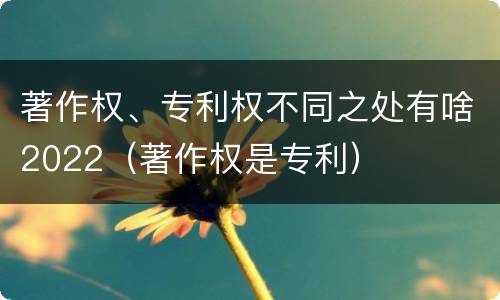 著作权、专利权不同之处有啥2022（著作权是专利）