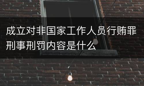 成立对非国家工作人员行贿罪刑事刑罚内容是什么
