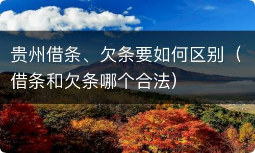 贵州借条、欠条要如何区别（借条和欠条哪个合法）