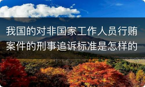 我国的对非国家工作人员行贿案件的刑事追诉标准是怎样的
