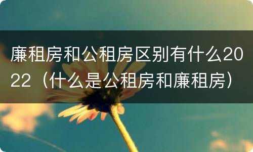 廉租房和公租房区别有什么2022（什么是公租房和廉租房）