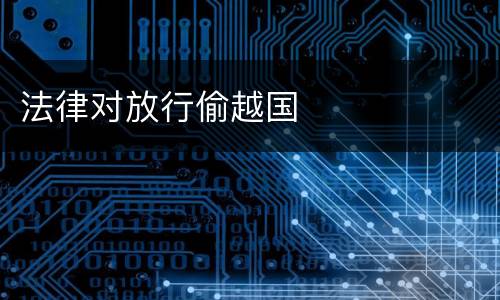 法律对放行偷越国