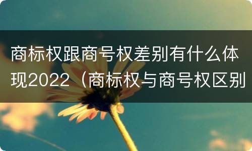 商标权跟商号权差别有什么体现2022（商标权与商号权区别）