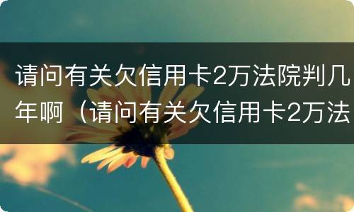 请问有关欠信用卡2万法院判几年啊（请问有关欠信用卡2万法院判几年啊怎么查）