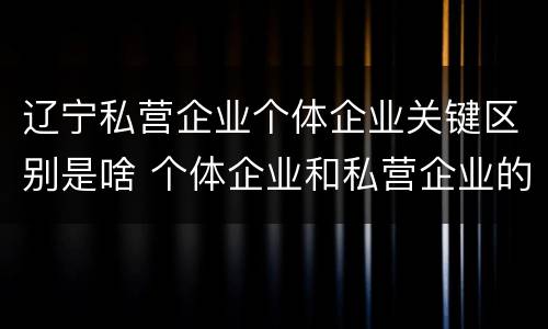 辽宁私营企业个体企业关键区别是啥 个体企业和私营企业的区别