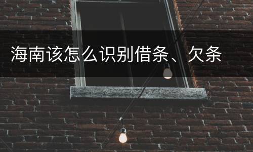 海南该怎么识别借条、欠条